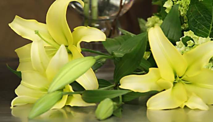Fresh Flower