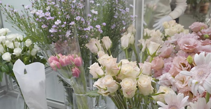 Flowers in Amazon