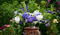 Alvar Florist