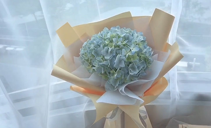 Hydrangea Fertilizer