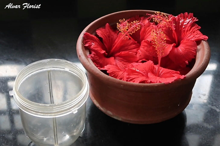 Hibiscus and Honey Firming Cream 
