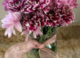 Where to Buy Chrysanthemums