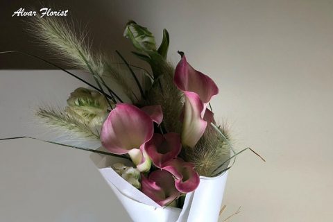 Calla Lilies Plant Will Last