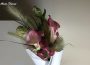 Calla Lilies Plant Will Last
