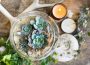 Terrarium for Begginers