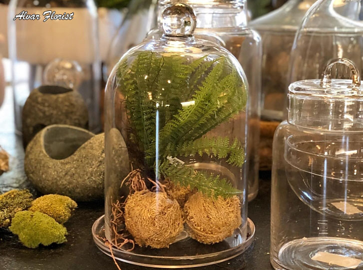 Terrarium