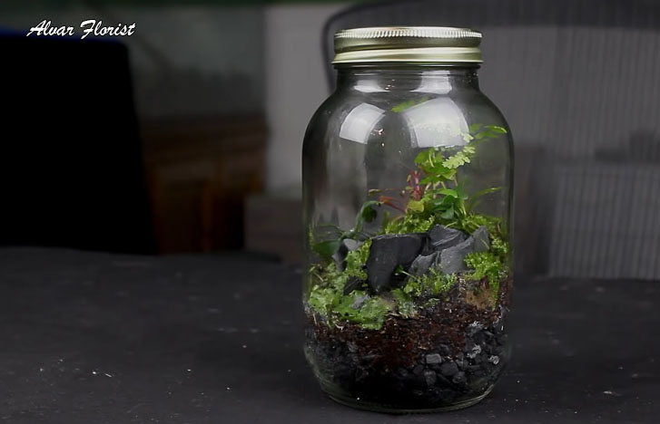 Terrarium decoration from mason jar