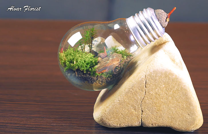 Terrarium of light bulbs